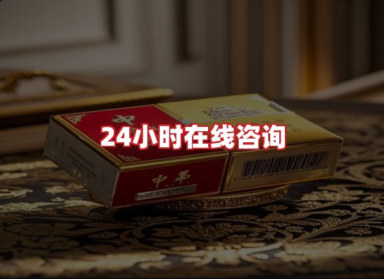 专业团队